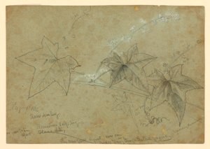 Studie von Laub von William Trost Richards