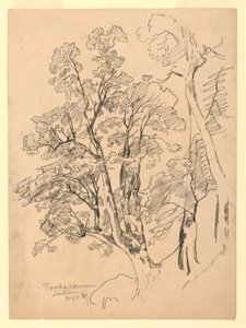 Studie von Laub, Trachselwald, Bern, Schweiz