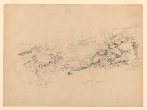 Studie von Laub, Trachselwald, Bern, Schweiz