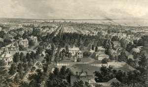 Stadt Buffalo, 1872