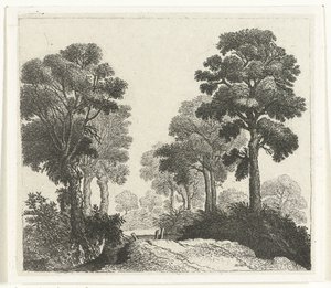 Landschaft mit Bäumen entlang eines Pfades