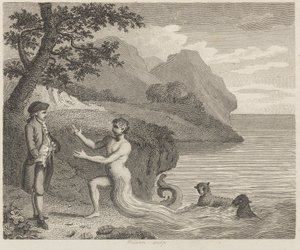 Höfling und Proteus von Wilson