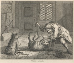 Der Rattenfänger und Katzen von Wilson