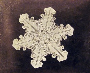 Studie einer Schneeflocke
