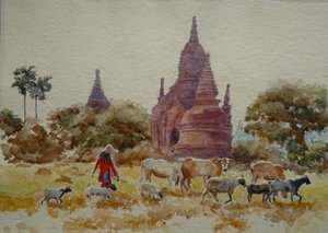 901 Bagan, Herden zwischen den Tempeln