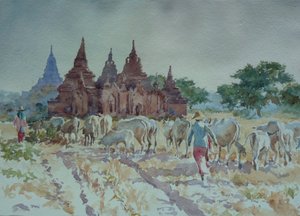 928 Bagan, heimwärts treiben