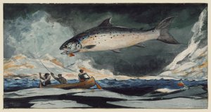 Ein guter Pool, Saguenay River von Winslow Homer