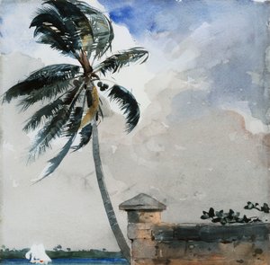 Eine tropische Brise, Nassau, 1889-90