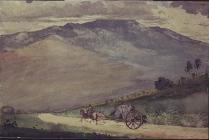 Eine Volante auf einer Bergstraße, Kuba von Winslow Homer