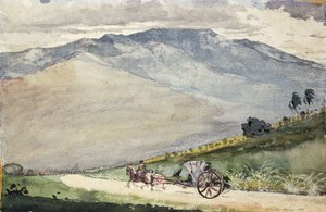 Eine Volante auf einer Bergstraße, Kuba von Winslow Homer