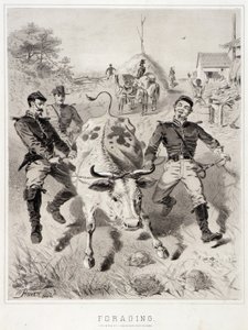 Kampagnenskizzen: Plündern von Winslow Homer