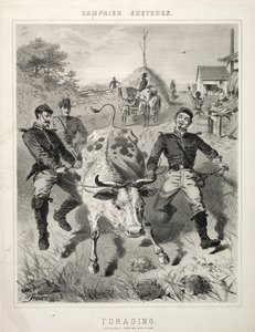Kampagnenskizzen: Plündern von Winslow Homer