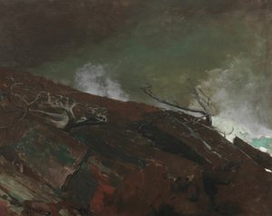 Küste von Maine von Winslow Homer