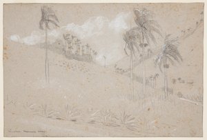 Kubanische Hügellandschaft von Winslow Homer