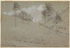 Kubaner Hügellandschaft, 1885 von Winslow Homer