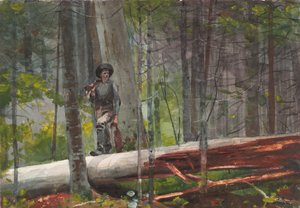 Jäger in den Adirondacks von Winslow Homer