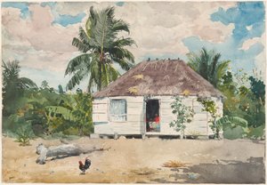 Einheimische Hütte in Nassau