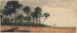 Palmen, rot von Winslow Homer