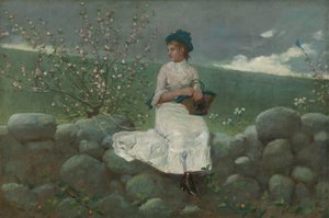 Pfirsichblüten, 1878 von Winslow Homer