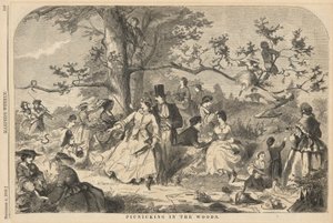 Picknick im Wald, aus Harper
