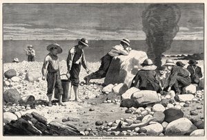 Skizzen am Meer - Ein Muschelbacken von Winslow Homer