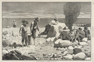 Skizzen am Meer - Ein Muschelbacken von Winslow Homer