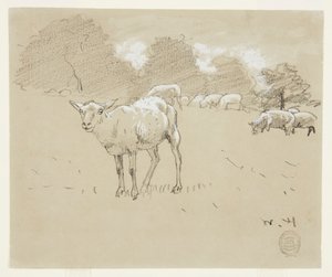 Schafe auf einer Weide von Winslow Homer