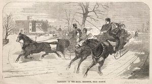 Schlittenfahrt auf der Straße, Brighton, nahe Boston