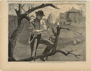Frühlingsfeldarbeit – Pfropfen von Winslow Homer