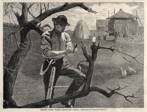 Frühjahrsarbeiten auf dem Bauernhof - Veredelung von Winslow Homer