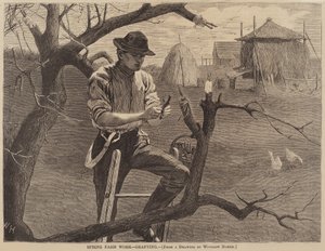 Frühlingsarbeit auf dem Bauernhof - Pfropfen, veröffentlicht 1870
