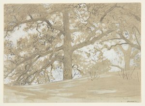 Waverly Oaks von Winslow Homer