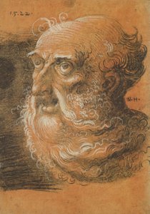 Kopfstudie, 1522 von Wolf Huber