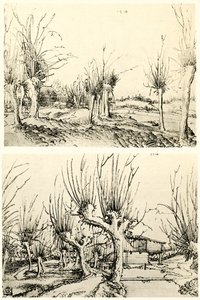 Landschaften mit Weidenbäumen von Wolf Huber