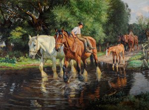 Bauernpferde und Fohlen an einer Furt, ca. 1915 von Wright Barker