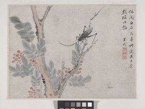Insekt und Baum nach Shen Zhou von Wu Wang