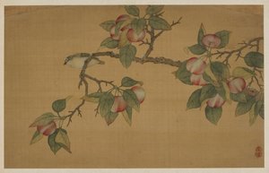 Vogel und Frucht, Qing-Dynastie, 1741 von Wu Zhang