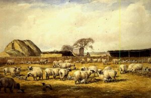 Lammstall, Hungerford