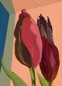 Lebendige moderne Tulpen