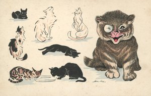Fetter Kater Mit Monokel, Neben Verschiedenen Weniger Bevorzugten Katzen