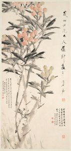 Pipa Loquats, ca. 1888-89