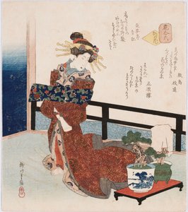 Miyako no hana "Blume der Hauptstadt", ein Begriff, der sich auf berühmte Schauspieler, Kurtisanen oder Prominente bezieht, illustriert eine Kurtisane, die neben einer Topfkiefer steht, mit Gedichten von Shikishima Edamichi, Kagenro und Chokintei Seiki von Yanagawa II Shigenobu