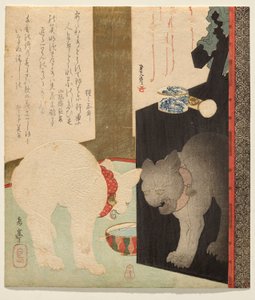 Weiße Katze, die sich in einer Lackkommode spiegelt von Yashima Gakutei
