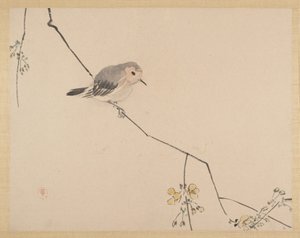 Gemälde von Zeshin Shibata