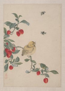Vögel, Insekten und Blumen von Zhai Yi