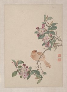 Vögel, Insekten und Blumen von Zhai Yi