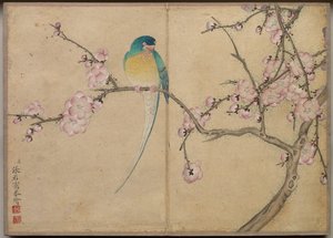 Schreibtischalbum: Blumen- und Vogelmalereien (Vogel mit Pflaumenblüten) von Zhang Ruoai