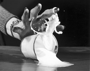 Verschüttete Milch, 23. Februar 1950