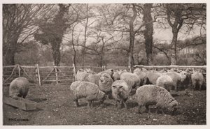 Ein herbstliches Pastorale von Frederick (attr. to) Barnard