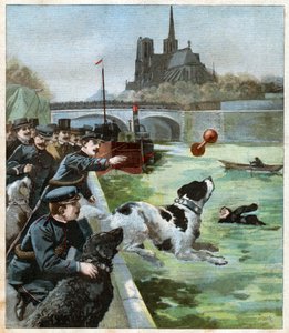 Rettungshund